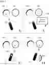 Fig. 04 - System for object tracking in physical space with aligned reference frames