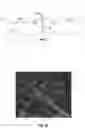 Fig. 08 - Augmented three dimensional point collection of vertical structures