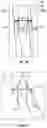 Fig. 15 - Augmented three dimensional point collection of vertical structures