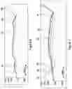 Fig. 07 - IMPROVED STRUCTURAL MODELLING