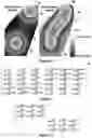 Fig. 08 - IMPROVED STRUCTURAL MODELLING