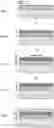 Fig. 03 - Optical thin film, optical element, optical system, and method for producing optical thin film