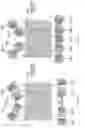 Fig. 15 - Solid-state imaging device and electronic apparatus