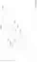 Fig. 40 - OPTICAL ELEMENT DRIVING SYSTEM AND MECHANISM THEREOF