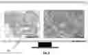 Fig. 10 - Device for observing a sample and method for observing a sample
