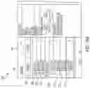 Fig. 22 - Imaging systems with micro optical element arrays and methods of specimen imaging