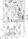 Fig. 24 - Imaging systems with micro optical element arrays and methods of specimen imaging