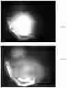Fig. 16 - Optical article and illumination system for endoscope