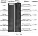 Fig. 22 - Diffractive optical elements with mitigation of rebounce-induced light loss and related systems and methods