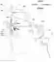Fig. 01 - NOSE PAD AND EYEGLASSES