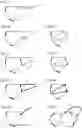 Fig. 10 - Eyeglasses