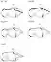 Fig. 11 - Eyeglasses