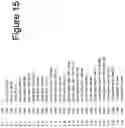Fig. 16 - Multifocal lens having an optical add power progression, and a system and method of providing same