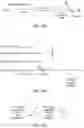 Fig. 12 - Contact lens with a hydrophilic layer