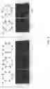 Fig. 09 - Reconfigurable ultrasonically sculpted optical beam paths