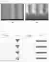 Fig. 04 - Method for forming pattern for liquid crystal orientation of zenithal bi-stable liquid crystal panel, liquid crystal orientation substrate including pattern formed thereby, and mask substrate used for forming pattern