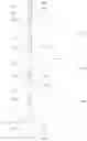 Fig. 04 - DISPLAY PANEL, AND PROCESS FOR MANUFACTURING DISPLAY PANEL