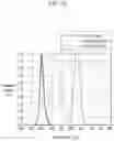 Fig. 21 - Liquid crystal display and manufacturing method thereof