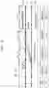 Fig. 27 - Liquid crystal display and manufacturing method thereof