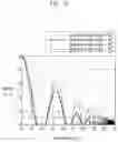 Fig. 29 - Liquid crystal display and manufacturing method thereof