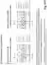 Fig. 27 - Device for combining light beams which interact with adjacently arranged pixels of a light modulator