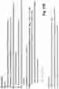 Fig. 28 - Device for combining light beams which interact with adjacently arranged pixels of a light modulator