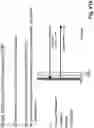 Fig. 29 - Device for combining light beams which interact with adjacently arranged pixels of a light modulator