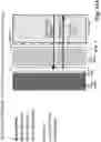 Fig. 31 - Device for combining light beams which interact with adjacently arranged pixels of a light modulator