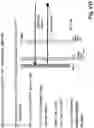 Fig. 37 - Device for combining light beams which interact with adjacently arranged pixels of a light modulator