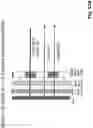 Fig. 44 - Device for combining light beams which interact with adjacently arranged pixels of a light modulator