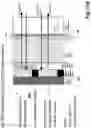 Fig. 48 - Device for combining light beams which interact with adjacently arranged pixels of a light modulator
