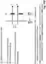 Fig. 50 - Device for combining light beams which interact with adjacently arranged pixels of a light modulator