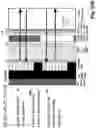 Fig. 56 - Device for combining light beams which interact with adjacently arranged pixels of a light modulator