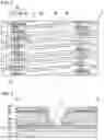 Fig. 02 - Method for producing active matrix substrate and active matrix substrate
