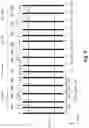 Fig. 06 - Display device