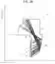 Fig. 24 - Lens and projection-type image display apparatus