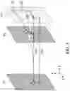 Fig. 06 - Radiation source for lithography exposure process