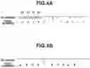 Fig. 05 - INFORMATION PROCESSING APPARATUS AND IMAGE FORMING APPARATUS