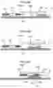 Fig. 12 - Toner container having protrusions projecting from opposite sides of the toner container