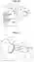 Fig. 13 - Powder container and image forming apparatus