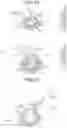 Fig. 29 - Powder container and image forming apparatus