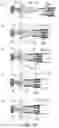 Fig. 123 - Drum unit, cartridge and coupling member