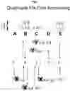 Fig. 05 - Proving material identity with quantum randomness—financial and general applications
