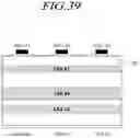 Fig. 42 - Touch display device, active pen, touch system, touch circuit, and pen recognition method