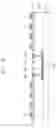Fig. 21 - Display device including sensor and auxiliary sensor parts