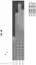 Fig. 06 - Detecting device utilization imbalances