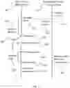 Fig. 06 - Synchronization object prioritization systems and methods