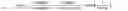 Fig. 03 - Two level compute memoing for large scale entity resolution