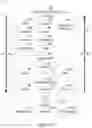 Fig. 10 - Zero downtime evolution of database schemas for cloud applications