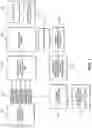 Fig. 02 - Identifying missing questions by clustering and outlier detection